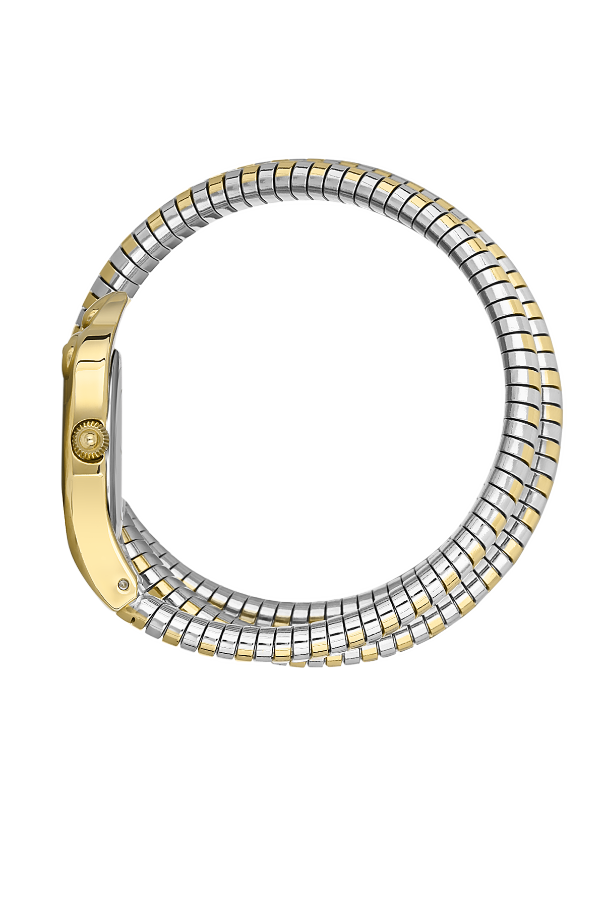 FREELOOK FL.1.10304-5 SILVER AND GOLD STEEL BAND SILVER DIAL FOR WOMEN