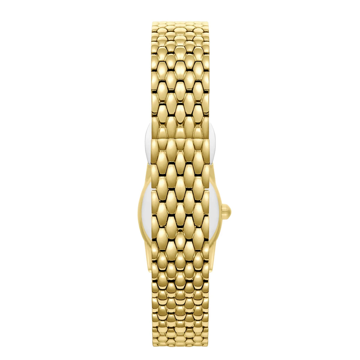 POLO BP3926X.120 WOMEN WATCH