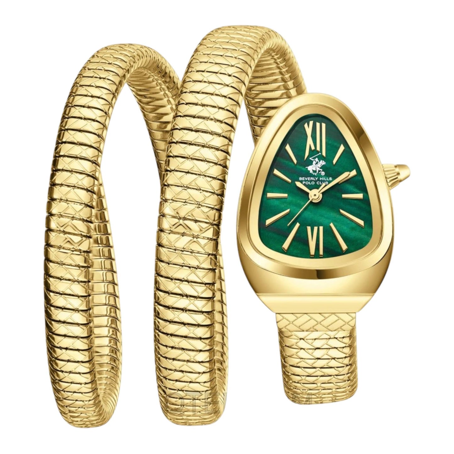 POLO BP3888C.170 Women's Watch
