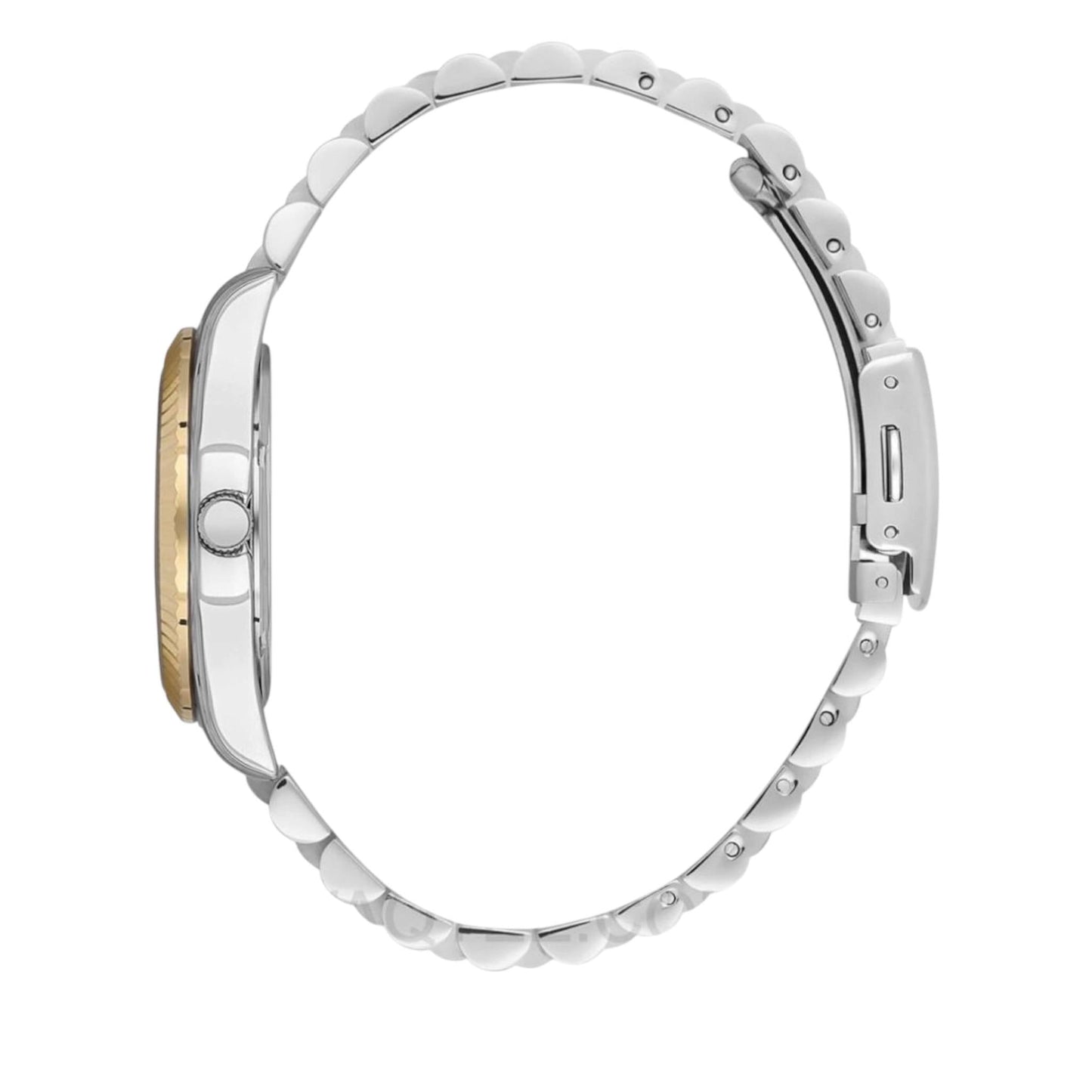 POLO BP3169C.271 Women's Watch